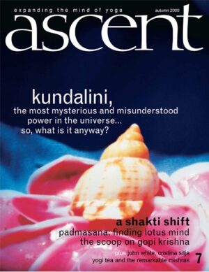 Issue 07 - Kundalini