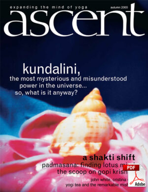 Issue 07 - Kundalini - PDF