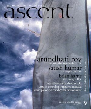 Issue 09 - Environment