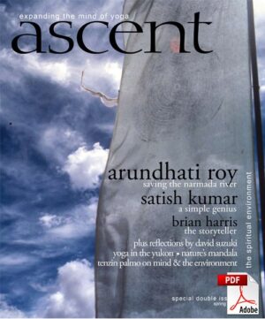 Issue 09 - Environment - PDF