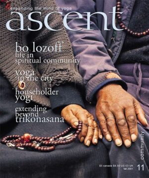 Issue 11 - Community