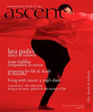 Issue 13 - Life, Death & Rebirth