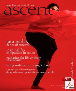 Issue 13 - Life, Death & Rebirth - PDF