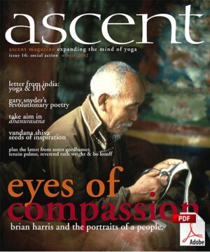 Issue 16 - Social Action - PDF