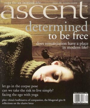 Issue 20 - Renunciation