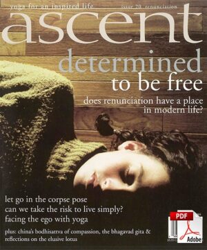 Issue 20 - Renunciation - PDF