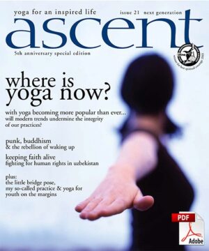 Issue 21 - The Next Generation - PDF