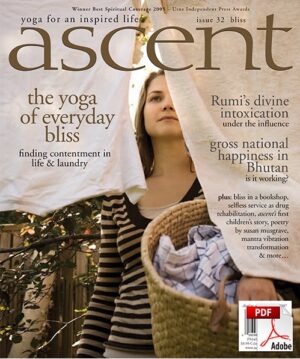 Issue 32 - Bliss - PDF