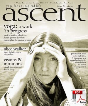 Issue 34 - Vision - PDF