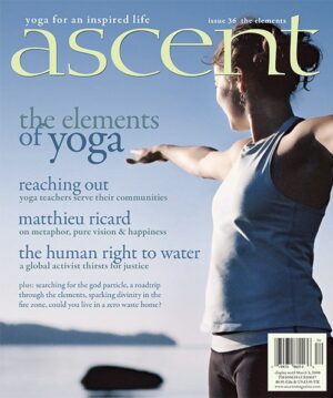 Issue 36 - The Elements