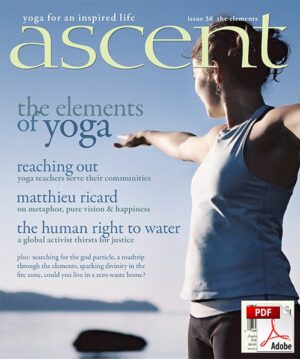 Issue 36 - The Elements - PDF