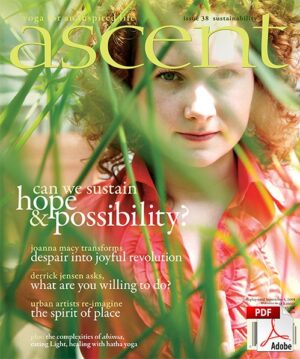 Issue 38 - Sustainability - PDF