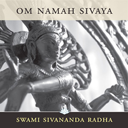 Om Namah Sivaya